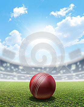 Cricket Stadium And Ball