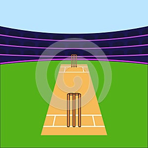 Cricket stadium illustration vector Cricket Pitch Icons Vector Cricket Sports