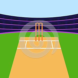 Cricket stadium illustration vector Cricket Pitch Icons Vector Cricket Sports