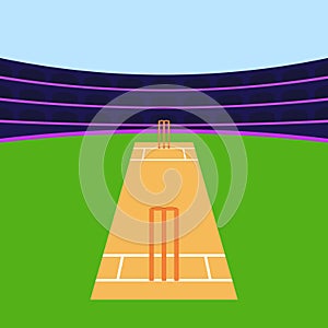 Cricket stadium illustration vector Cricket Pitch Icons Vector Cricket Sports