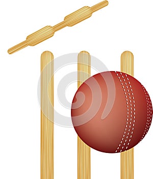 Cricket stumps