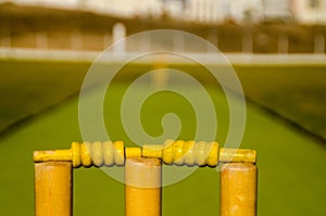 Cricket Stumps