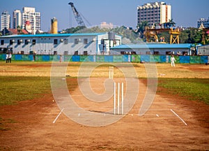 Cricket Stumps Cricket Stumps at cricket ground