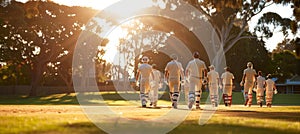 Cricket team spirit intimate moments of unity, bonding, and victory celebration in a cricket team.