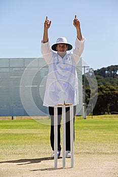 Cricket umpire signalling six runs during match