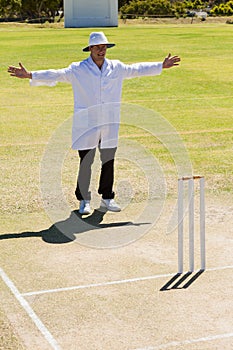 Cricket umpire signalling wide ball during match