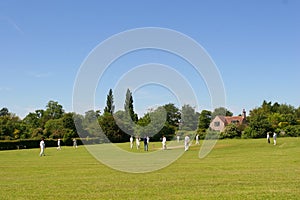 Cricket on The Village Green (with space for text)