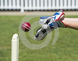 Cricket wicket keeper