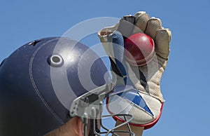 Cricket wicket keeper