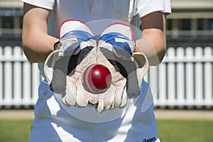 Cricket wicket keeper photo