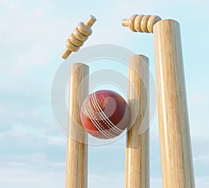 Cricket Wicket Stumps