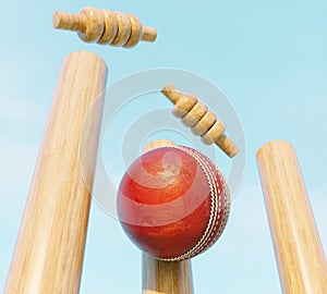 Cricket Wicket Stumps