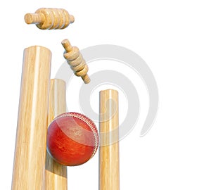 Cricket Wicket Stumps