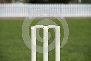 Cricket wicket photo