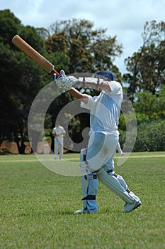Cricketer