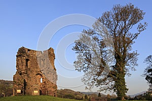 Crickhowell Castle