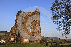 Crickhowell Castle