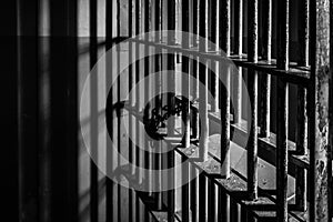 Crime - A dramatic shot of Prison Cell Bars