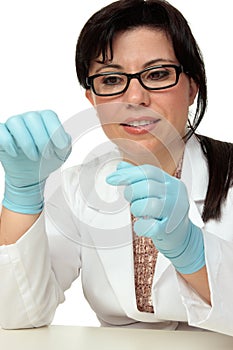 Crime Scene Investigator with a fingerprint sample