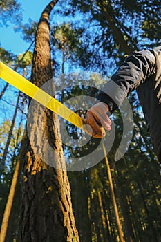 Crime scene.Signs and symbols. Yellow protective prohibition tape in a forest.Man fencing crime scene with yellow tape