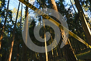 Crime scene. Yellow protective prohibition tape in a forest.Man fencing crime scene with yellow tape.