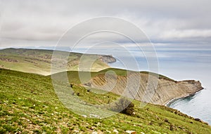 Crimea coastline