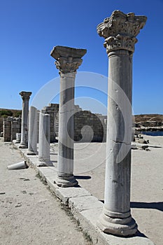 Crimea. Hersones. Greek pillars