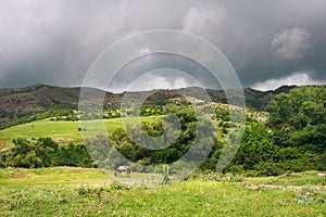 Crimea landscape