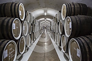 Crimea. Symmetry in the wine cellar