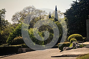 Crimea Vorontsov Palace Park Walk-road Bushes Cypress