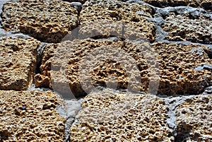 Crimean coquina rock blocks with cement wall close up texture