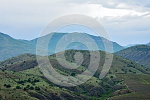 Crimean mountains with vineyards on a cloudy, rainy day