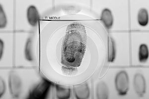 Criminal fingerprint card and magnifier