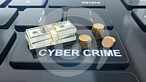 Criminal fraud in internet cyberspace in commerce, bank and financial industry