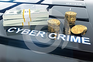 Criminal fraud in internet cyberspace in commerce, bank and financial industry