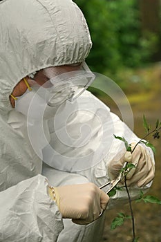 Criminologist investigates flower