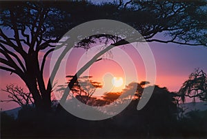 Crimson African sunrise