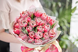 Crimson color tulips in woman hand. Spring bouquet of red tulips in hands. Bunch of fresh cut spring flowers