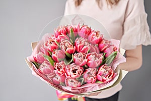 Crimson color tulips in woman hand. Spring bouquet of red tulips in hands. Bunch of fresh cut spring flowers