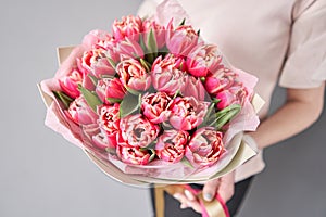 Crimson color tulips in woman hand. Spring bouquet of red tulips in hands. Bunch of fresh cut spring flowers