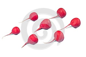 Crimson red radish isolated on white background. New life conception. Healthy food conception