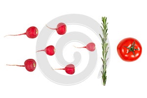 Crimson red radish and rosemary vegetable isolated on white background. Spermatozoon swimming toward the egg. New life conception