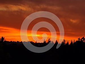 Crimson sky over treetops afterglow with cirrus clouds and Saharan dust in the air