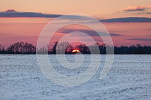 Crimson Sunset over Snowy American Corn Fields in Winter with Bl