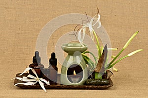 Crinum Lily ,flowers and essential oil have Medicinal properties.