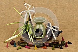 Crinum Lily ,flowers and essential oil have Medicinal properties.