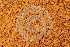 Criollo Cocoa powder Background