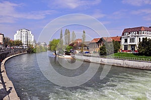 Cris in oradea center