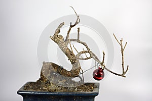Crisis Christmas Tree