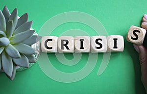 Crisis symbol. Concept word Crisis on wooden cubes. Businessman hand. Beautiful green background with succulent plant. Business